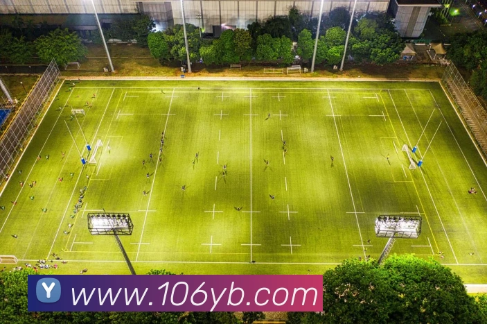 未来规划